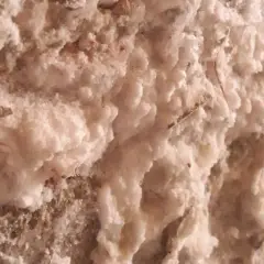 Dettaglio di muffa bianca sui muri, con texture ruvida e irregolare, che suggerisce un problema di umidità in una casa.
