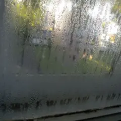 Gocce d'acqua sulla porta finestra, con riflessi di alberi e luce solare. La condensa crea un velo lattiginoso.