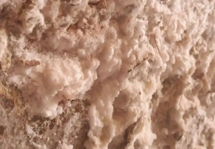 Dettaglio di muffa bianca sui muri, con texture ruvida e irregolare, che suggerisce un problema di umidità in una casa.