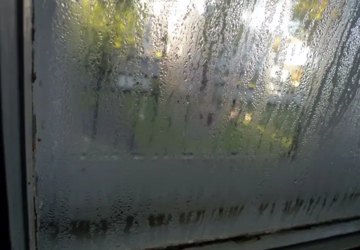 Gocce d'acqua sulla porta finestra, con riflessi di alberi e luce solare. La condensa crea un velo lattiginoso.
