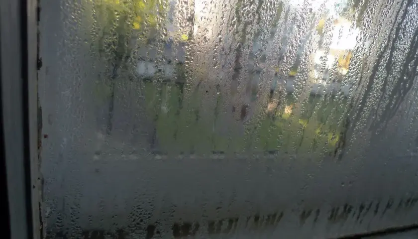 Gocce d'acqua sulla porta finestra, con riflessi di alberi e luce solare. La condensa crea un velo lattiginoso.