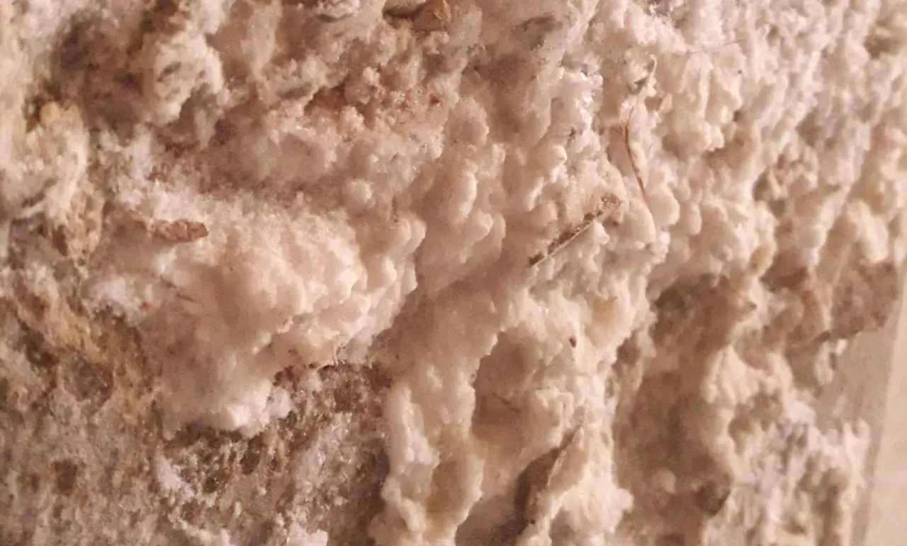 Dettaglio di muffa bianca sui muri, con texture ruvida e irregolare, che suggerisce un problema di umidità in una casa.