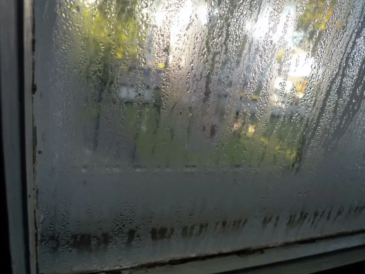 Gocce d'acqua sulla porta finestra creano un velo opaco, lasciando intravedere un giardino sfocato e luminoso.